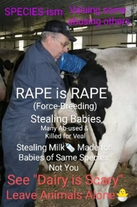 rape porn video|r/forcebreeding